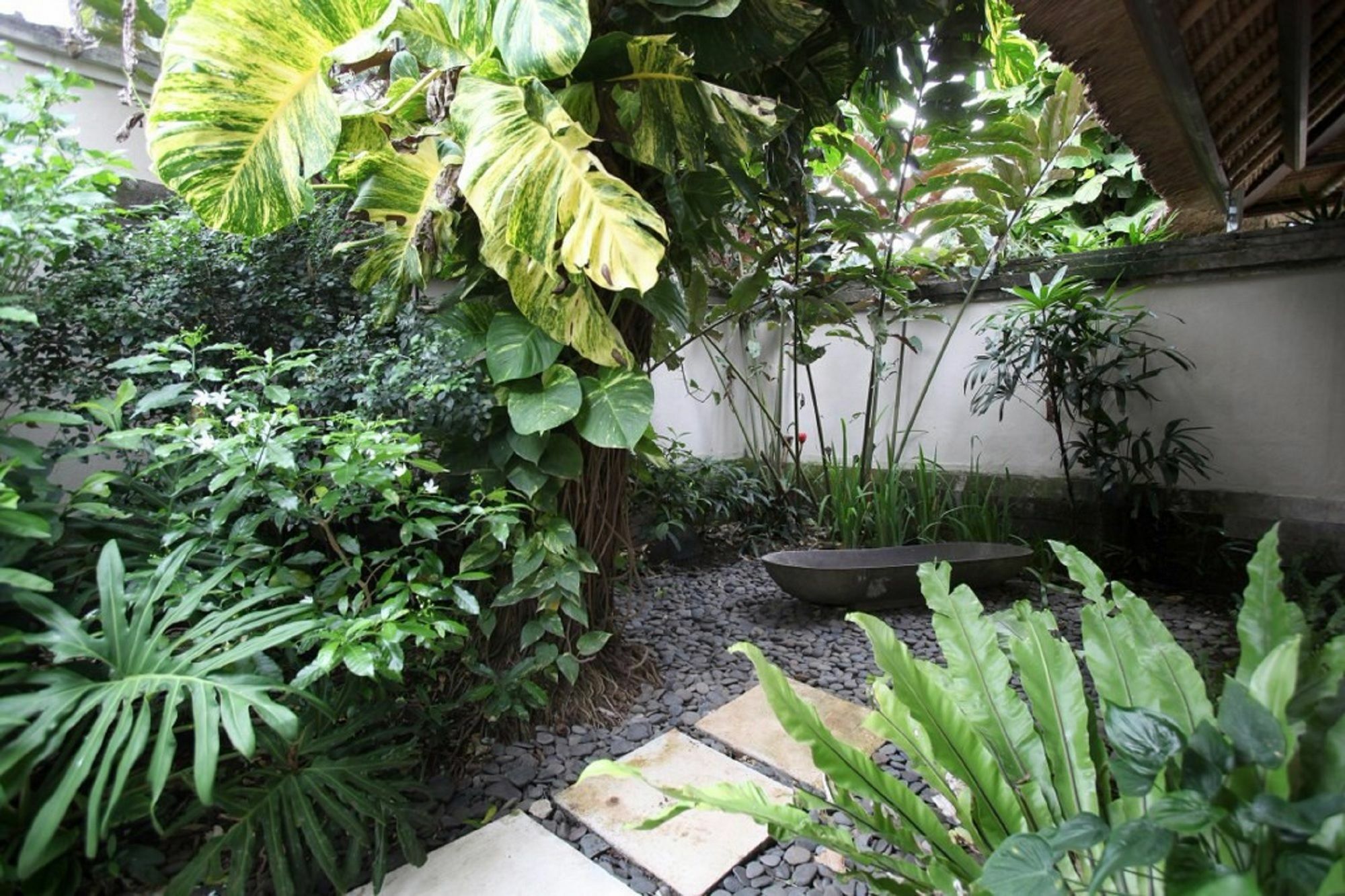 Villa Tamu Seseh Canggu Exterior foto